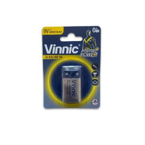 PILA BATERIA 9V ( ALCALINA )                VINNIC